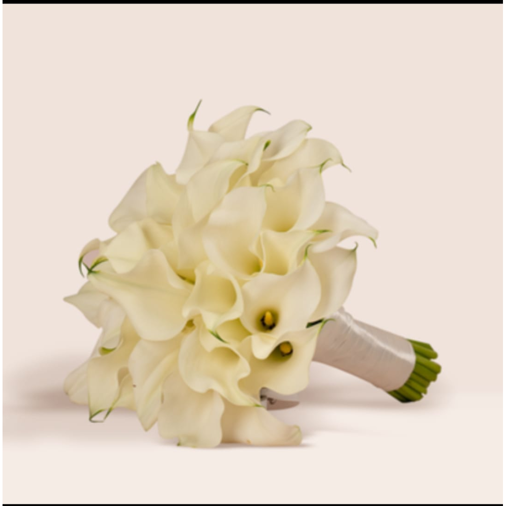 مسكة ورد طبيعي كالا