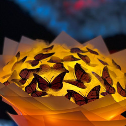 فراشات (باقة ورد )